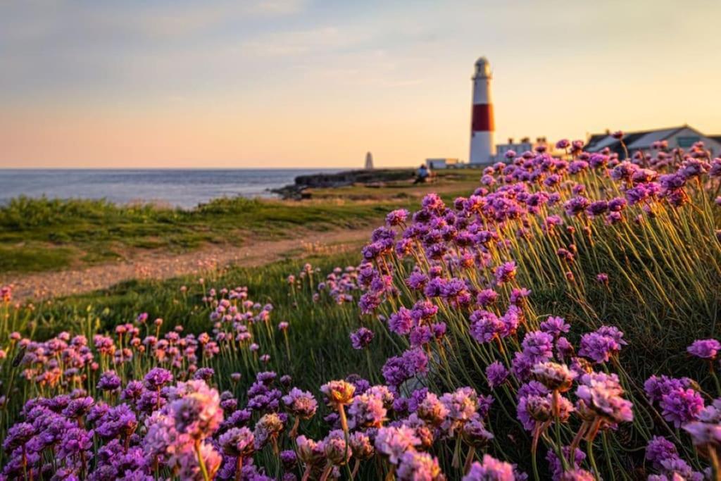 Luxurious Beach House Chesil Beach. Sleeps 6 Castletown  Exteriér fotografie
